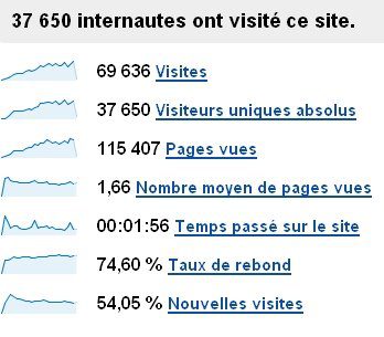 Tableau statistique : 69 636 visites, 37 650 visiteurs uniques, 115 407 pages vues, temps moyen 1h1m56s