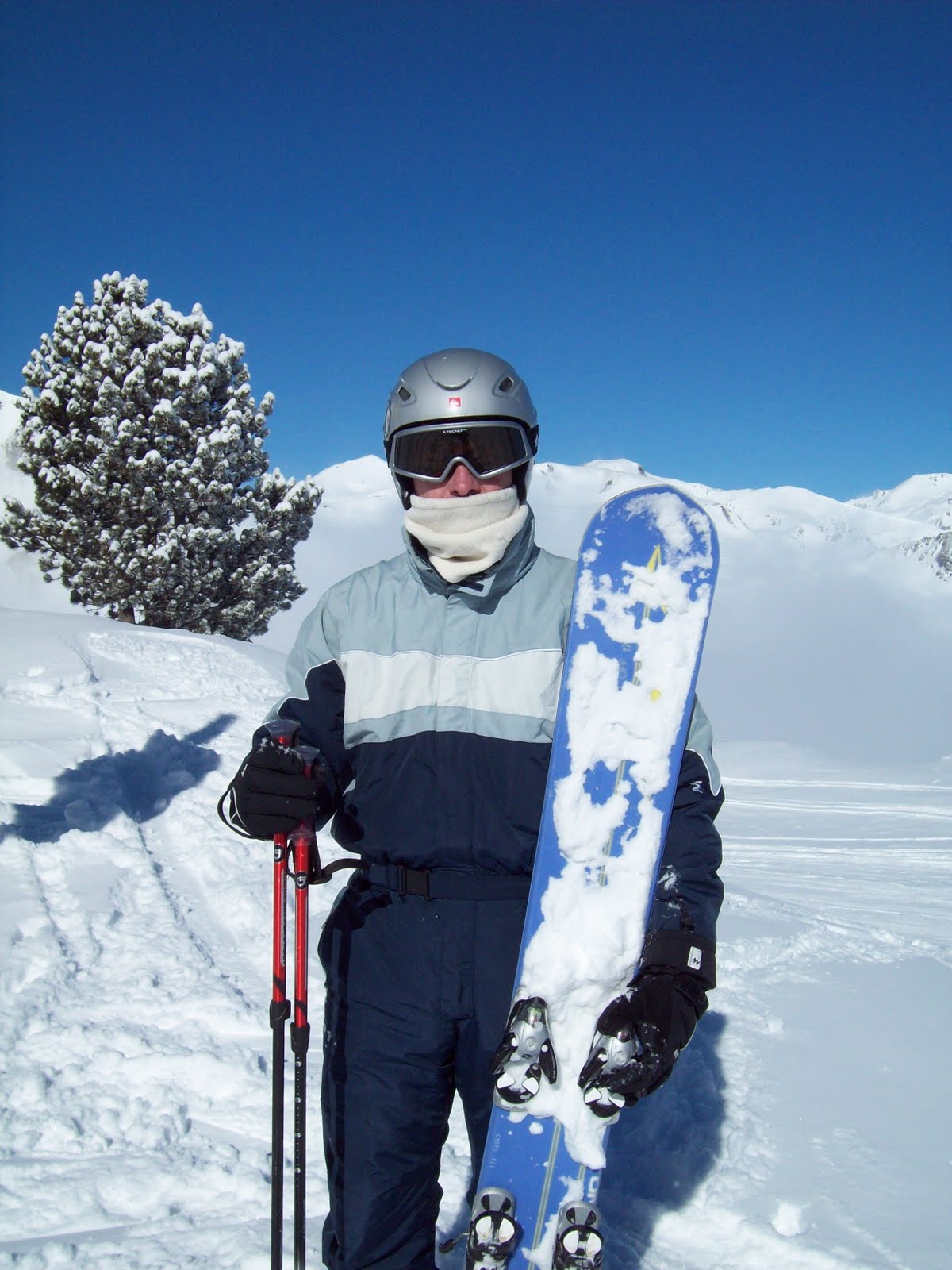 Skieur posant aux sports d'hiver