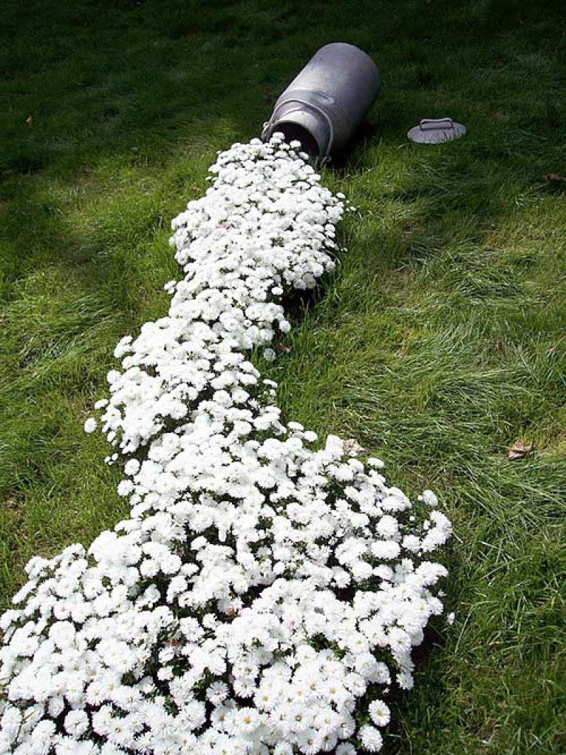 Tube de métal versant des fleurs blanches sur un gazon vert