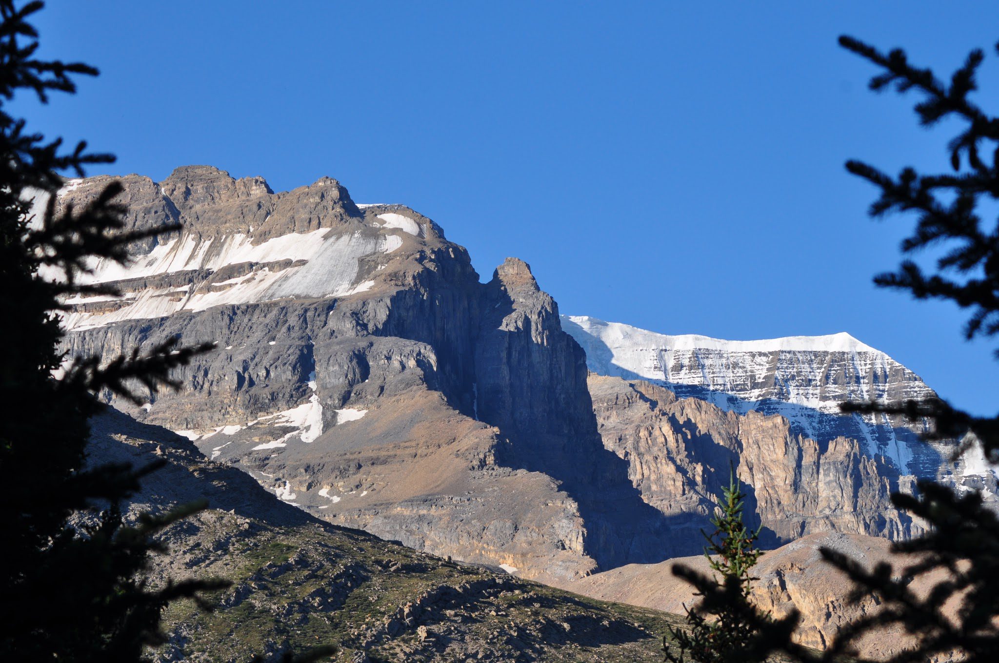 Montagne rocheuse avec glacier et sommet enneigé, forêts de conifères, vue entre branches