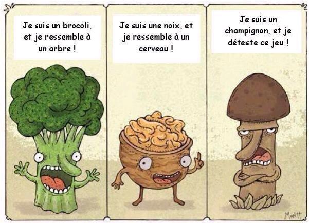 Bande dessinée humoristique : trois légumes anthropomorphes décrivant à quoi ils ressemblent