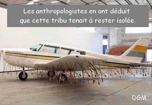 Avion avec branches suspendues, texte humoristique sur isolement tribal