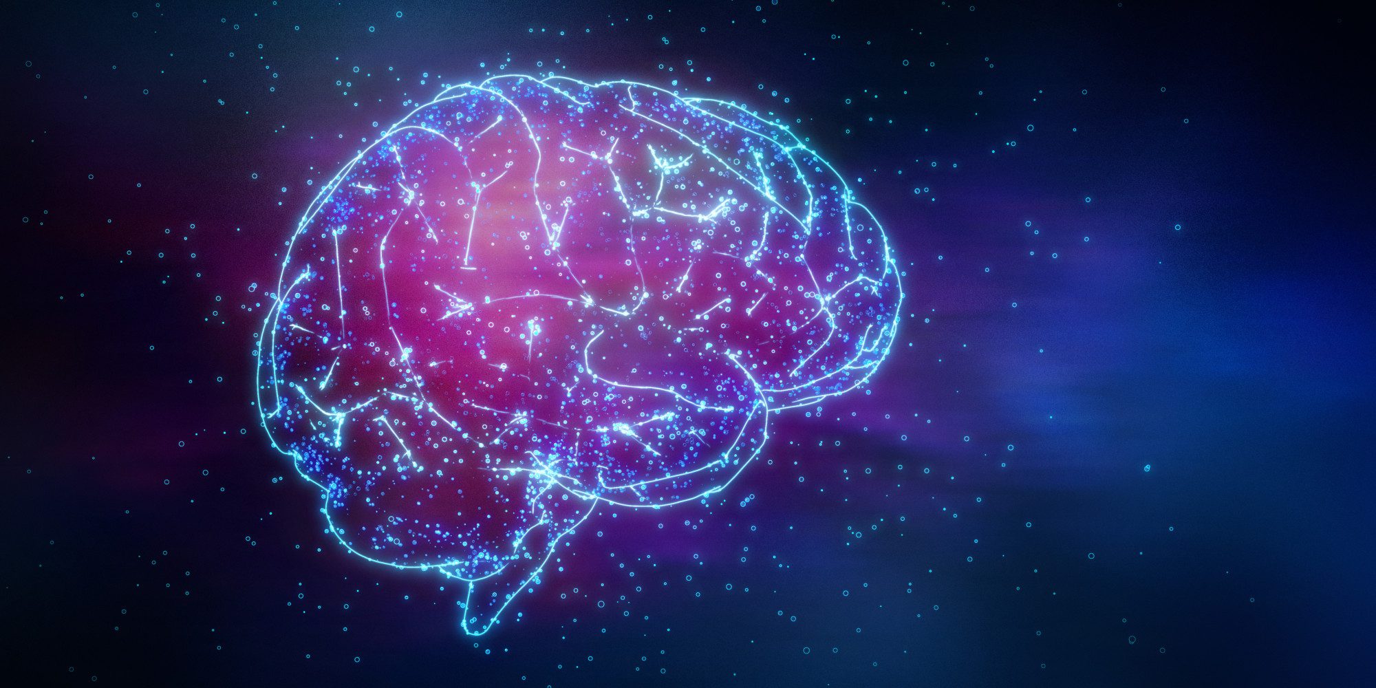 Cerveau digital en néon rose et bleu avec connexions lumineuses