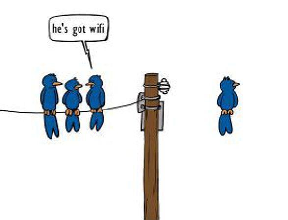 Dessin oiseaux bleus sur fil électrique, l'un s'échappe avec bulle « he's got wifi »