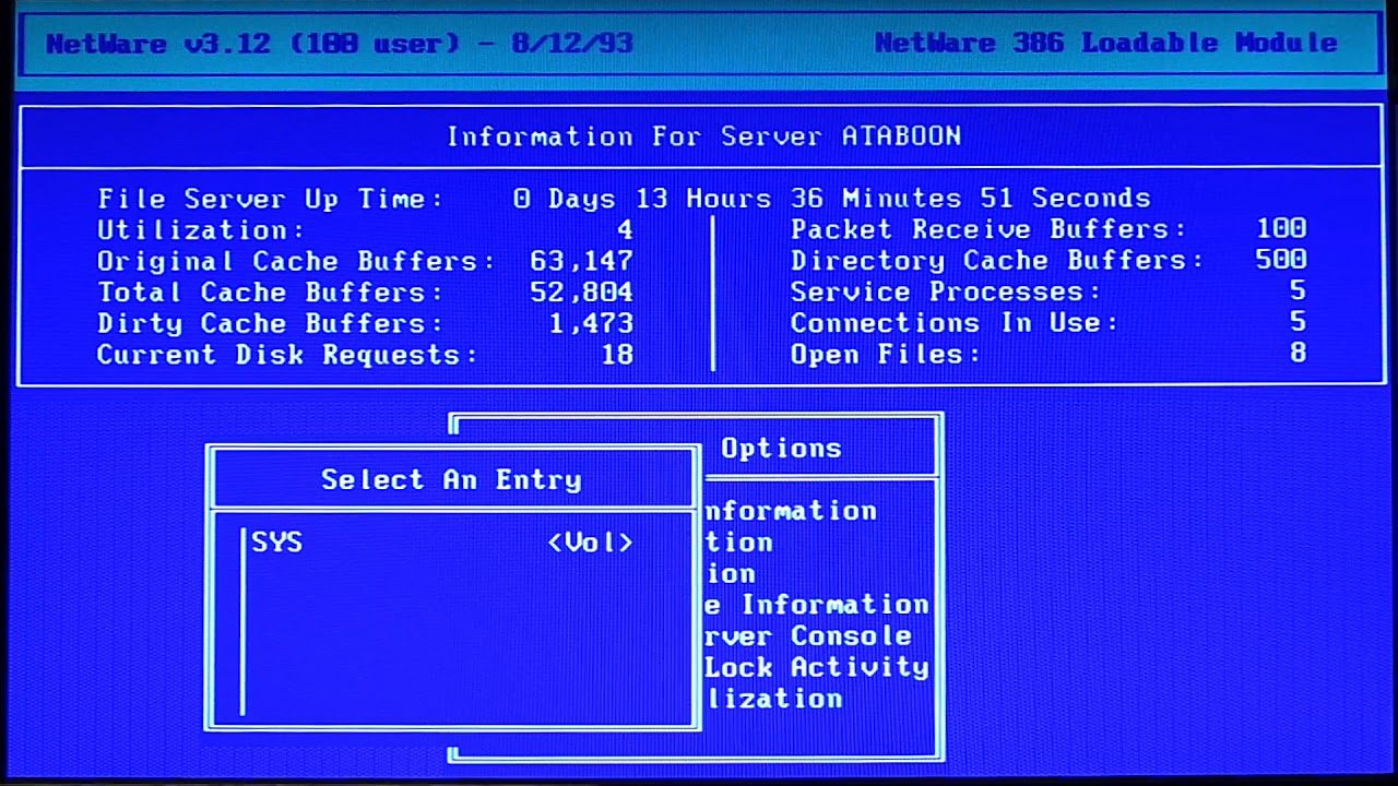Capture d'écran du shell NetWare 3.12 affichant les informations du serveur