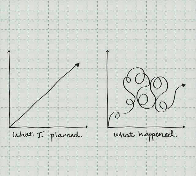Schéma humoristique : « What I planned » (courbe régulière) vs « What happened » (courbe chaotique)