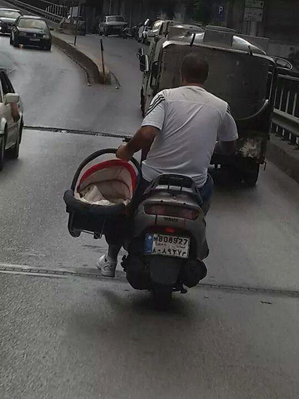 Scooter avec panier rempli de chats