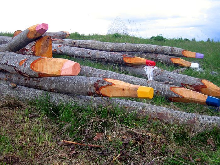 Troncs d'arbre empilés marqués de bandes de couleurs vives