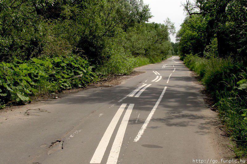 Route rurale sinueuse avec marquages blancs, bordée d'arbres feuillus