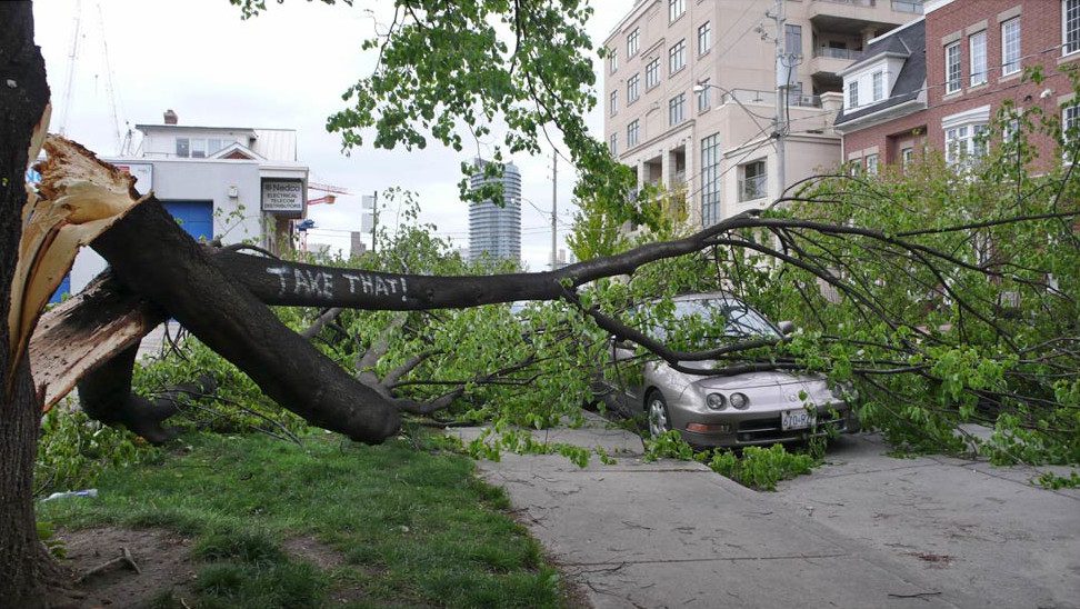 Arbre massif déraciné écrasant une voiture garée dans une rue urbaine