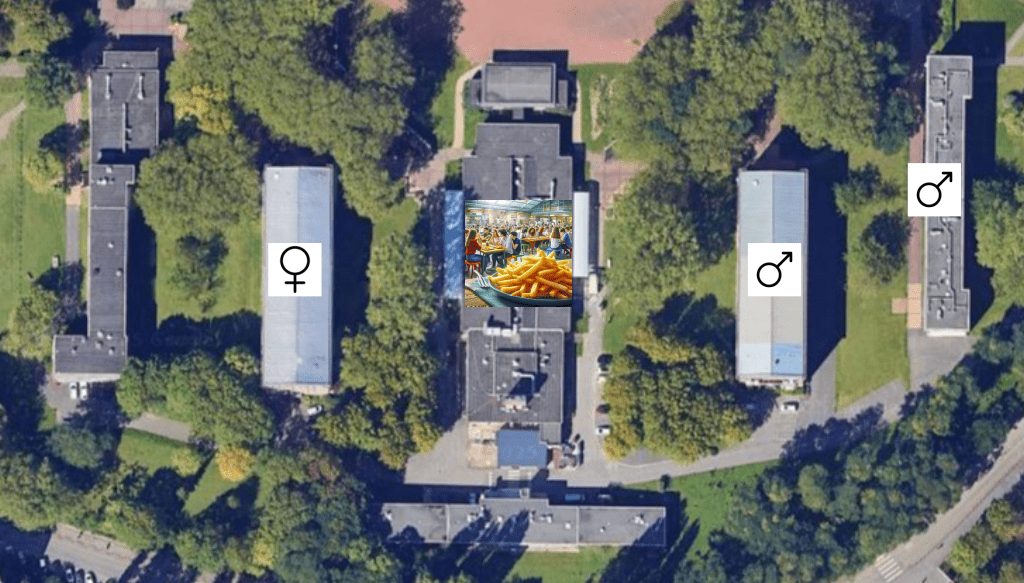 Vue aérienne satirique d'une cantine scolaire avec symboles ♀ et ♂ montrant la séparation des genres