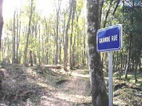 Panneau directeur NORD-EST en forêt